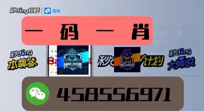 本期一肖一碼王中王，揭秘與探索，揭秘一肖一碼王中王，探索生肖與數(shù)字的神秘聯(lián)系