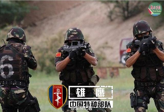 中國七大特種部隊，神秘的力量與卓越的能力，中國七大特種部隊，神秘力量與超凡能力的展現(xiàn)