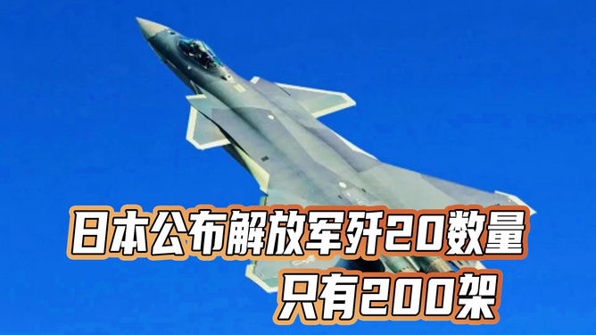 關(guān)于日本公布?xì)?20數(shù)量的探討，日本公布?xì)?20數(shù)量的深度探討