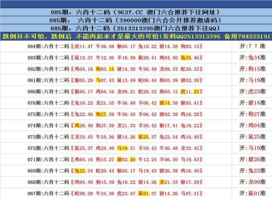 澳門六合正版資料，深度解析與探索，澳門六合正版資料深度解析與探索之旅
